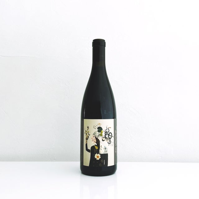 ✨ New Wines! | Gemini × Happy Ice Cream