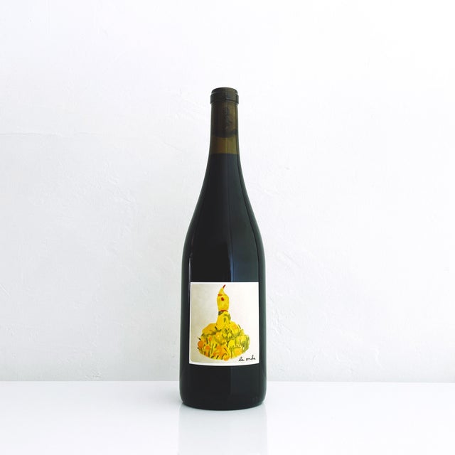✨ New Wines! | Gemini × Happy Ice Cream