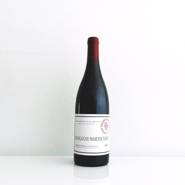 ✨ New Wines! | Gemini × Happy Ice Cream